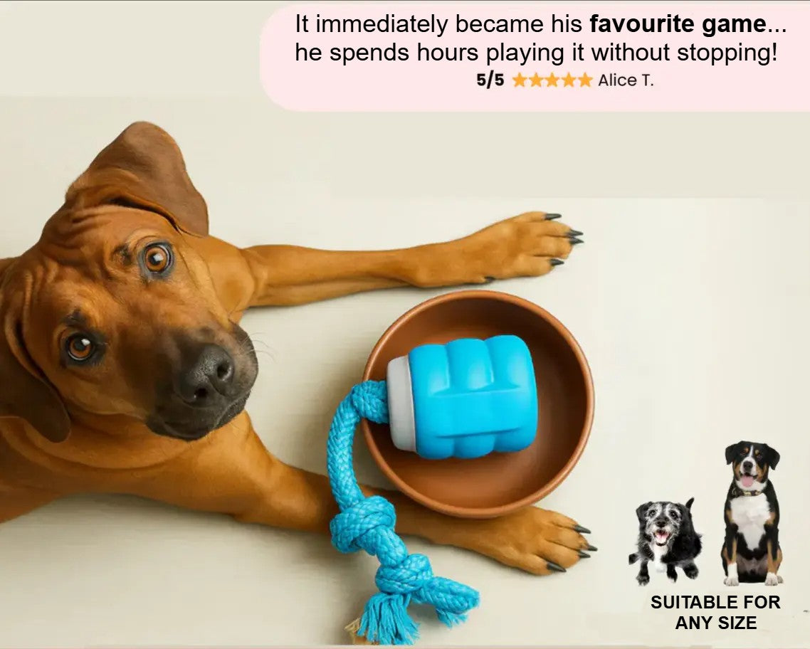 Final 3 hours 40% off 🔥Pet Electric Bouncing Ball