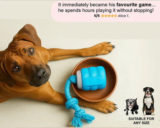 Final 3 hours 40% off 🔥Pet Electric Bouncing Ball