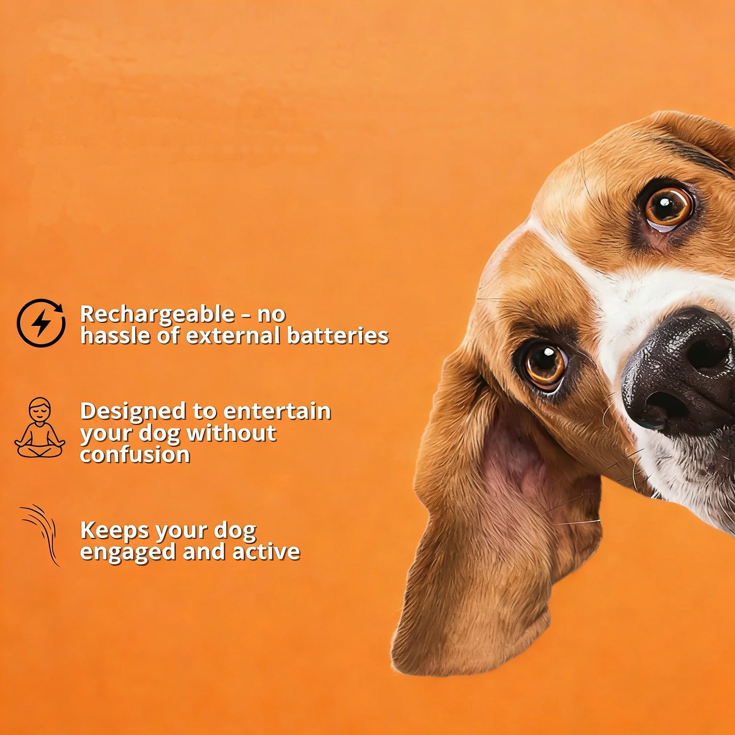 Final 3 hours 40% off 🔥Pet Electric Bouncing Ball