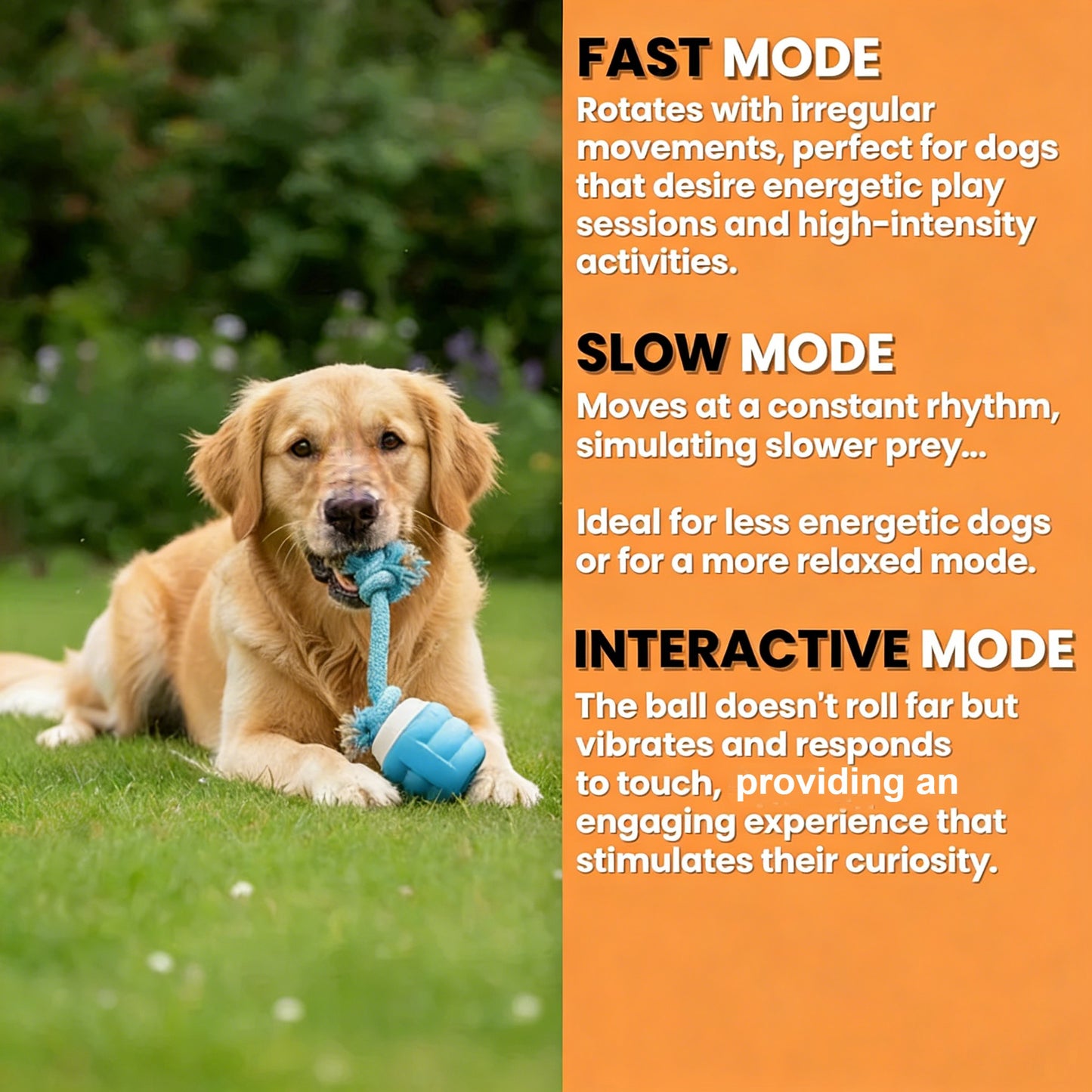 Final 3 hours 40% off 🔥Pet Electric Bouncing Ball