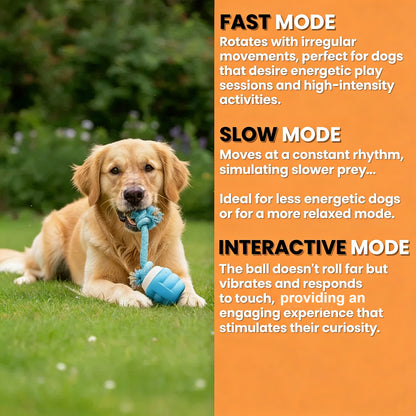 Final 3 hours 40% off 🔥Pet Electric Bouncing Ball